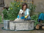 "ranczo" wraca Cicha gwiazda kultowego “Rancza”. Wiadomo, co z psem Hot-Dogiem w nowych odcinkach serialu