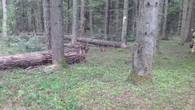 wiadomości Bracia zginęli w podobnych okolicznościach w odstępie kilku lat