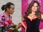 Jędrne pomidory muszą swoje kosztować... Mucha lata wokół warzywniaka. Szokują ją ceny, ale i tak przytula do piersi witaminki!