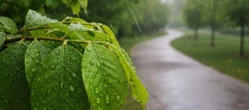 Weekend w Warszawie zacznie się spokojnie. Zmiana w pogodzie nadejdzie w niedzielę