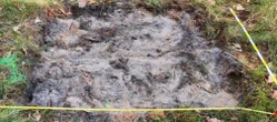 zbrodnia Sławomir W. zaginął w 2010 roku. Po latach rozwikłano zagadkę brutalnego morderstwa z Zabrza