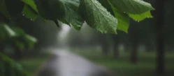 Spore ochłodzenie w prognozie dla Torunia. Ten weekend pokaże dwa oblicza