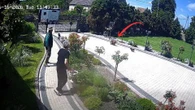 Szokujący atak Dramatyczne nagranie niesie się po sieci. Agresywny pies porwał chihuahuę!