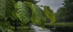 POGODA Pogoda w Rzeszowie na weekend ma dwa oblicza. Niedziela przyniesie dużą zmianę