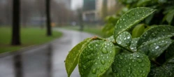 Weekendowa prognoza dla Gdańska ma haczyk. Jeden dzień wyraźnie się wyróżni