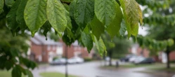 Ciepły weekend w Olsztynie, ale pod koniec pojawią się opady deszczu