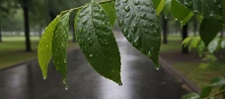 Weekend w Łodzi z rosnącą temperaturą. Niedziela przyniesie deszcz i zmianę pogody