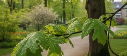 Weekend w Białymstoku z dużą zmianą pogody. Zacznie się chłodno, a skończy na 20 stopniach