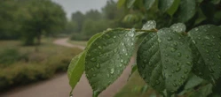 Prognoza na weekend w Olsztynie nie zachwyca. Nadciągają opady i coraz niższe temperatury