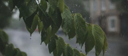 Weekend w Poznaniu z deszczowym finałem. Ten dzień może pokrzyżować plany