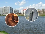 Warszawa Sum z Gocławia przetrwał? Zaskakujący zwrot akcji w głośnej sprawie