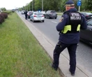 Z Warszawy Spłoszyła się i wbiegła na Wisłostradę. Służby ruszyły na pomoc potrąconej suczce