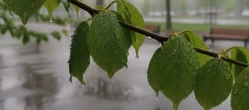 Deszczowy początek weekendu w Warszawie. Sobota przyniesie ochłodzenie i mniej opadów