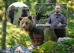 Reportaż „Super Expressu” Niedźwiedzie coraz bliżej ludzi. Strach w Bieszczadach narasta: „Boimy się wyjść z domu”