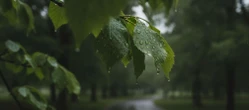 Weekendowa prognoza dla Gdańska ma haczyk. Nie tylko deszcz może pokrzyżować plany