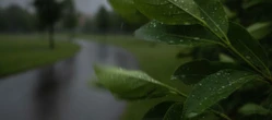 Aura w Łodzi pokaże dwa oblicza. Weekend przyniesie wyraźną zmianę pogody