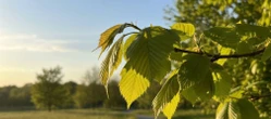 Cieplejszy koniec weekendu w Krakowie. Niedziela zapowiada się najcieplej