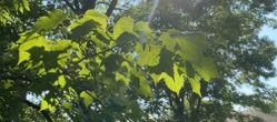 Weekend w Lublinie przyniesie gorący finał. Temperatura mocno poszybuje w górę