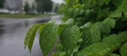 Weekend w Szczecinie ma jeden słabszy moment. Prognoza pokazuje, kiedy pogoda się zmieni