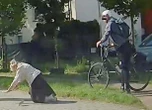 Jest wideo Rowerzysta pchnął 80-latkę na chodnik! Awantura na ścieżce rowerowej