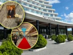 Prawdziwy gigant Jesteśmy na otwarciu hotelu Gołębiewski w Pobierowie