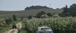 DRAMATYCZNA AKCJA Poszukiwania dwulatka w polu kukurydzy! Do akcji ruszyły liczne służby