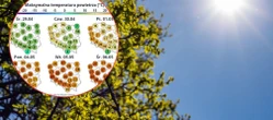 Prognoza pogody Majówka pod znakiem słońcem. Takich temperatur nie było od lat