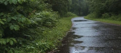 Nagły zwrot w pogodzie na weekend w Warszawie. Jeden dzień może pokrzyżować plany