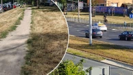 Alarm pogodowy Wrocław jak pustynia! Miasto wysycha na wiór. Przerażające zdjęcia