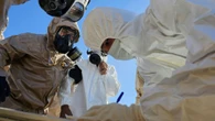 Epidemia z Afryki Ebola dotarła do Ameryki? Niepokojące doniesienia