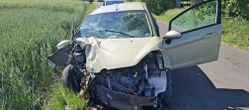 Tragiczny wypadek Ford uderzył w drzewo. Kierowca zmarł po przewiezieniu do szpitala