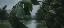 Weekendowa prognoza dla Łodzi ma haczyk. Pogoda zepsuje się z dnia na dzień