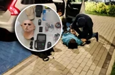 warszawa „Kobra” gryzie złodziei. Byli poszukiwani. 29-latek i 34-latek wpadli, gdy wysiedli z kradzionego Alfa Romeo