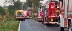 kolejna tragedia! Potężne uderzenie w drzewo. 25-letni kierowca ciężarówki zginął na miejscu!