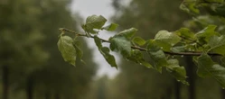 To może pokrzyżować weekendowe plany w Kielcach. Prognoza pokazuje ważny szczegół