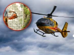 Służby w akcji Makabryczny wypadek w ogrodzie. 73‑latek rozciął sobie brzuch piłą!