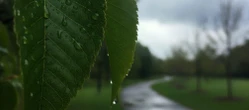Pogoda w Warszawie pokaże dwa oblicza. Finał weekendu nie każdego ucieszy