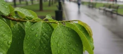 Weekend w Poznaniu z rosnącą temperaturą. Niedziela przyniesie zmianę w pogodzie
