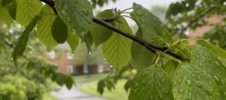 Weekend w Kielcach z dużą zmianą pogody. Pojawią się deszcz i wyższa temperatura