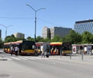 Komunikacja miejska Dwie specjalne linie autobusowe na ulicach Warszawy. Pojadą tylko w te dni