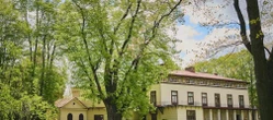 Drzewo Roku 2026 Zasadził ją król Jan III Sobieski. Ta lipa rośnie na Podkarpaciu i właśnie zdobyła zaszczytny tytuł!