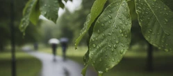 Weekend w Toruniu ma jeden słabszy moment. Prognoza pokazuje ważną zmianę aury