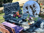 drą się i brudzą! Ptasi terror w Jezioranach! Cmentarz tonie w odchodach, a mieszkańcy są bezradni. „Groby trzeba owijać folią!”