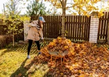 Jesień w ogrodzie Zrób to z opadłymi liśćmi w ogrodzie, a szybciej się rozłożą i odżywią glebę. Zamiast palić liście jesienią przerób je na odżywczy nawóz