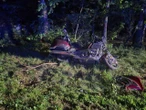 DRAMATYCZNY WYPADEK Motocyklista wjechał w łosia. Nie żyje pasażerka, kierujący trafił do szpitala