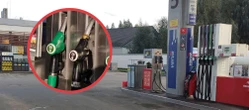 Ceny paliw Paliwo po 5 zł jak obiecywał Tusk?