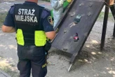 O krok od tragedii! Gniazdo os na placu zabaw! Pilna interwencja strażników miejskich i strażaków