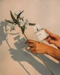 Strefa perfum Na dzień i na noc – duet od Made in Lab w rytmie lata