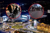 DOJDZIE DO TRAGEDII? Zamiast rozumu – gaz do dechy! Małpi gaj na głównym rondzie w Warszawie. Popisy rozw…