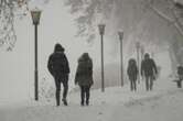 Ludowa prognoza Zima wróci w marcu? Ludowa przepowiednia 